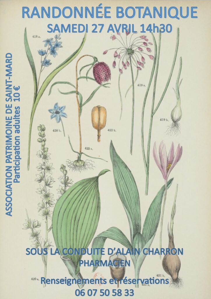 Randonnée botanique, organisée par l'association Patrimoine de Saint-Mard, le 27 avril 2024.