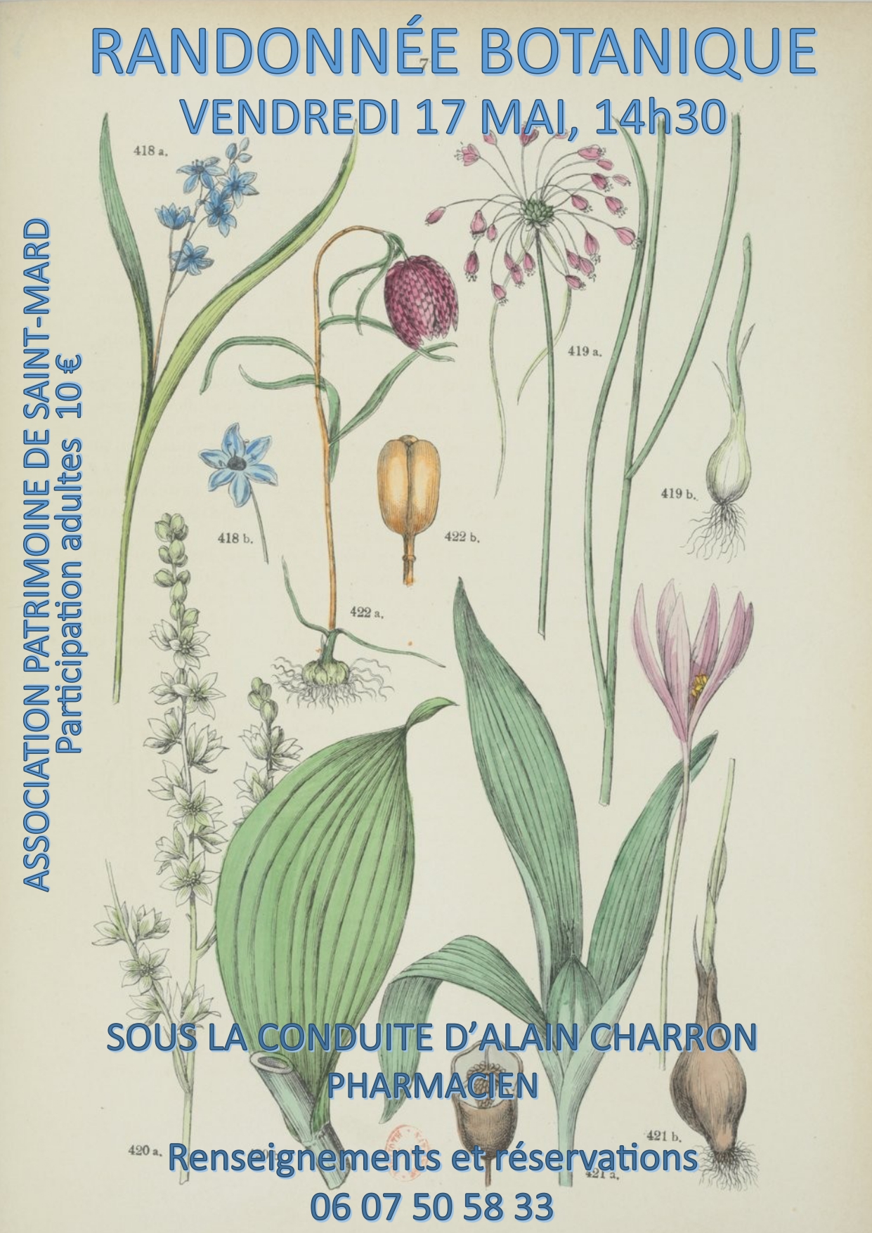 Randonnée botanique, Patrimoine de Saint-Mard, 17 mai 2024