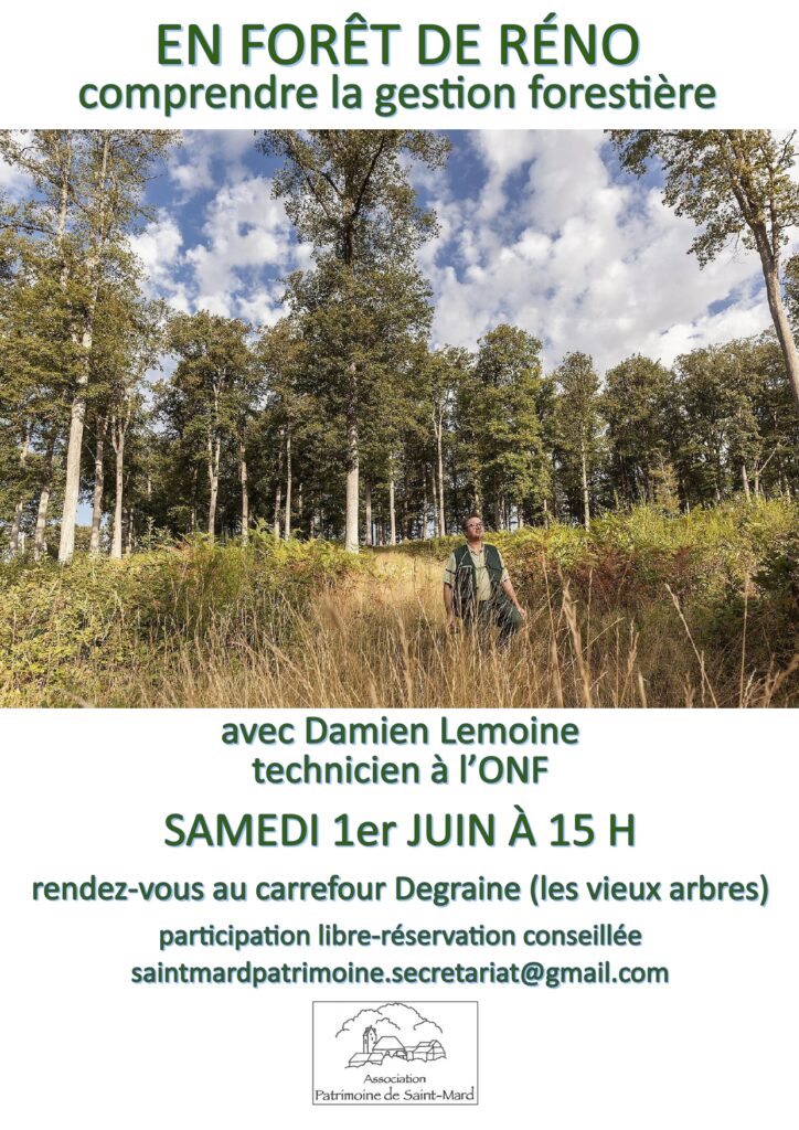 2024-06-01, APSM, Sortie forestière_2024, affiche
