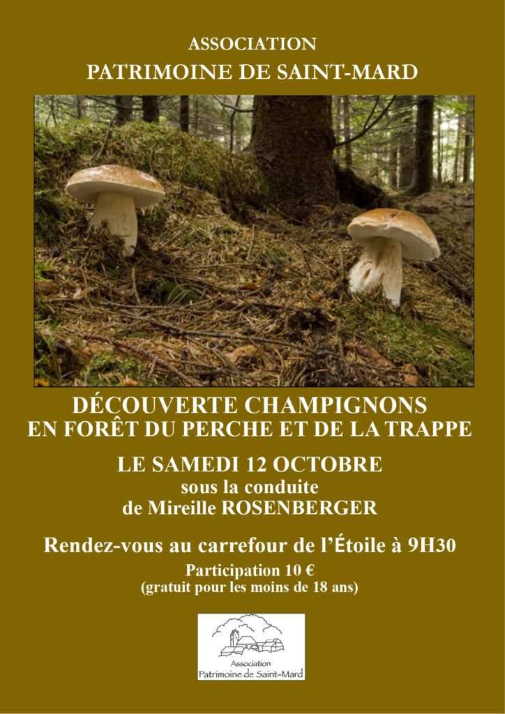 2024-10-12, patrimoine de Saint-Mard, sortie Champignons_2024